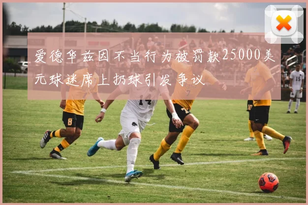 爱德华兹因不当行为被罚款25000美元球迷席上扔球引发争议