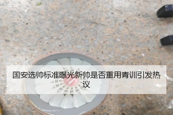 国安选帅标准曝光新帅是否重用青训引发热议 | BOYUSPORTS