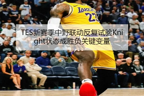 TES新赛季中野联动反复试验Knight状态成胜负关键变量 | BOYUSPORTS